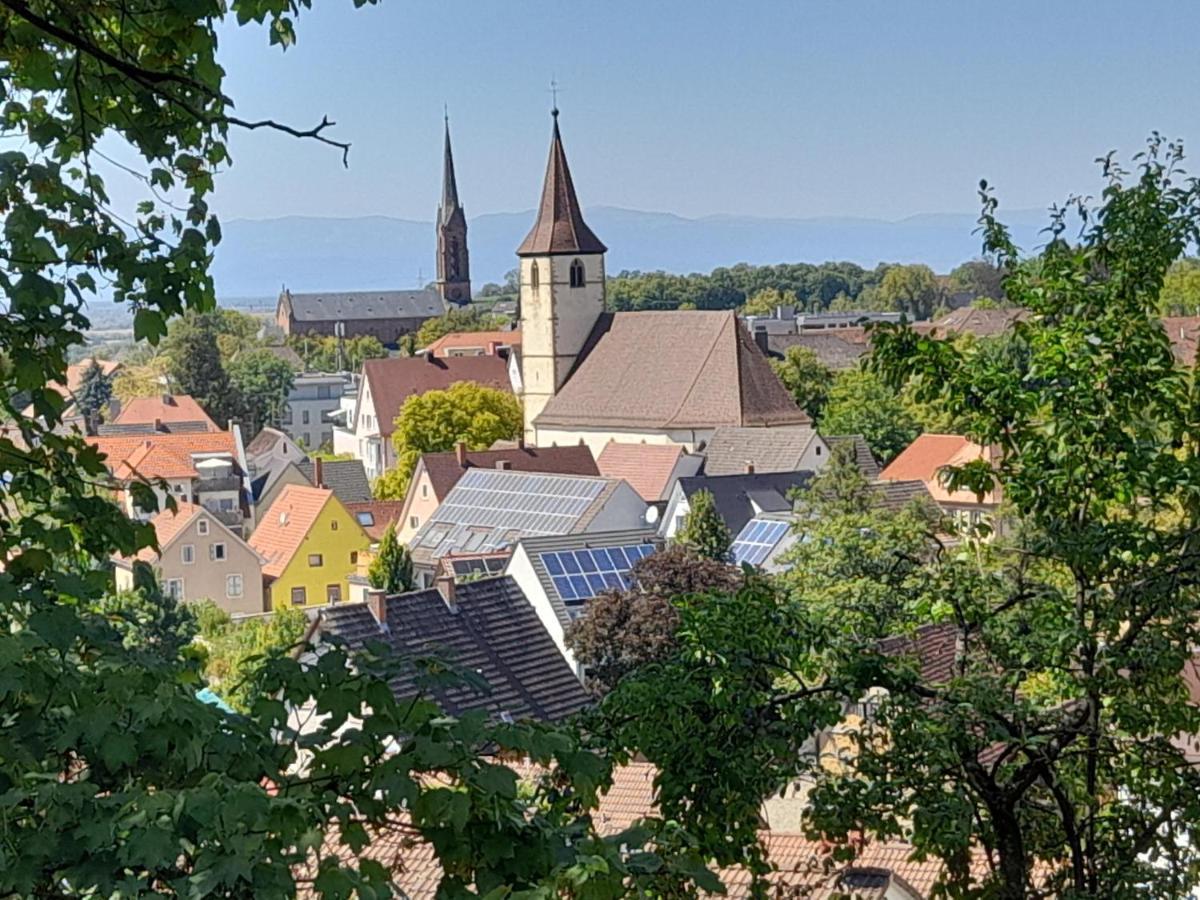 Appartement Unterm Tulpenbaum Mullheim (Baden-Wurttemberg)